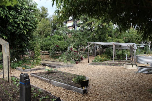 urban garden with raised beds and mulch