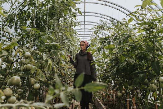 green cover crops in a garden