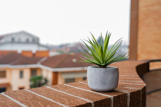 thriving small-space garden on a balcony