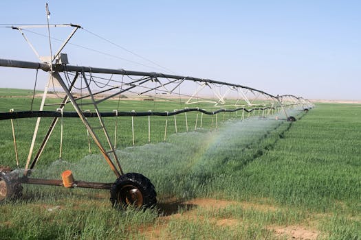 drip irrigation system