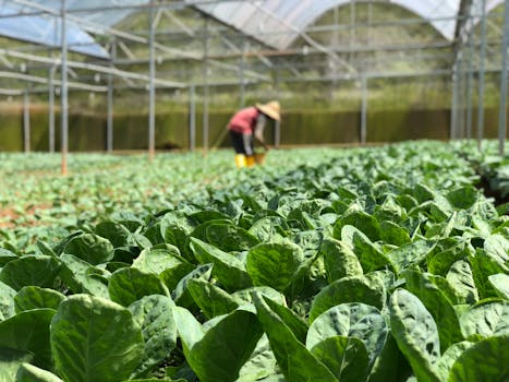 sustainable gardening techniques