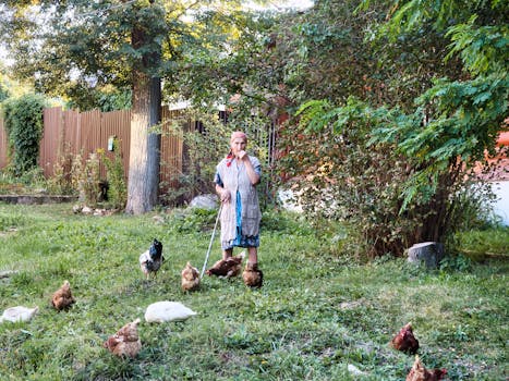 chickens roaming in a backyard garden