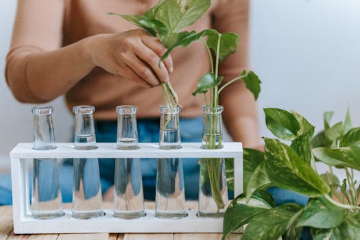 herb container garden