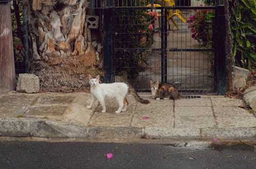 urban garden thriving with wildlife