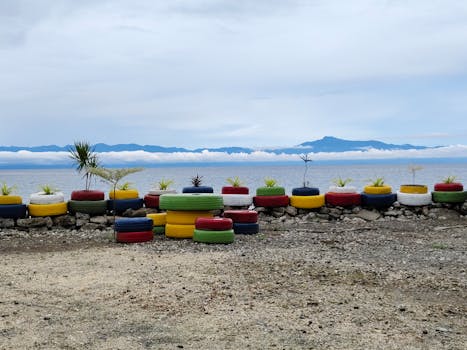 colorful tires as planters