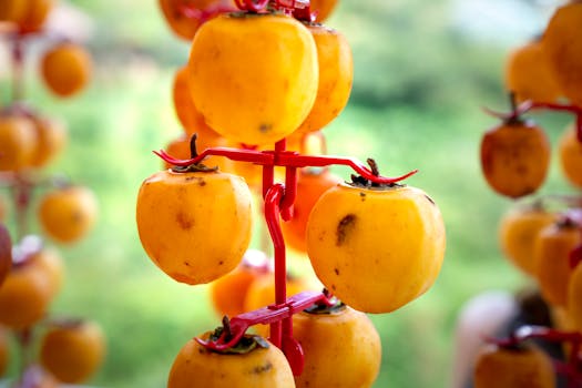 edible native plants ready for harvest