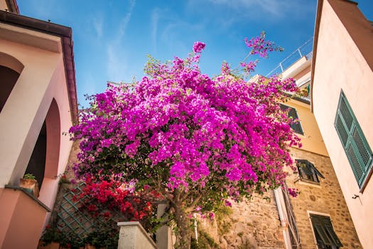 Urban garden with vibrant flowers