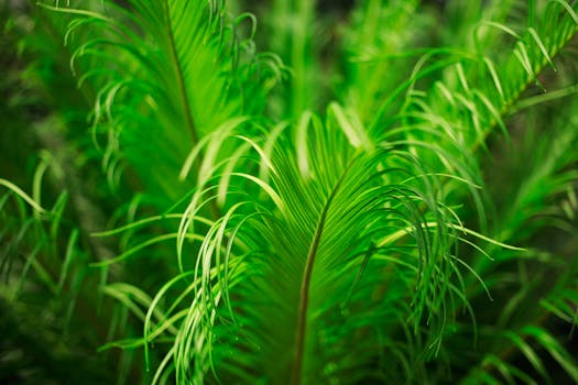 lush green garden thriving with natural methods