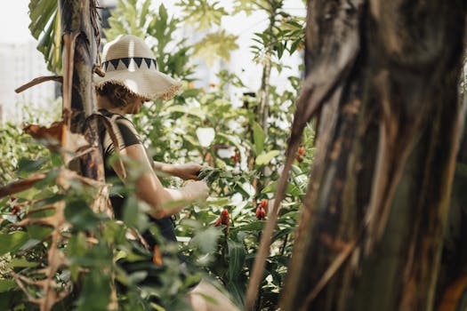 urban garden with sustainable materials