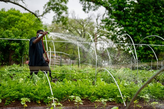 urban gardener showing off their thriving crops