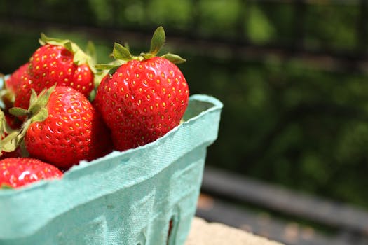 a container garden with vibrant plants