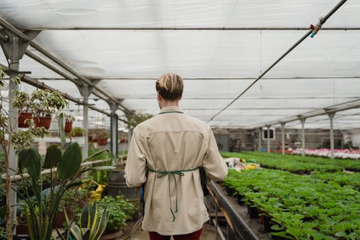 a gardener checking plants for pests