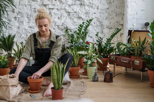 biodegradable plant pots with thriving plants