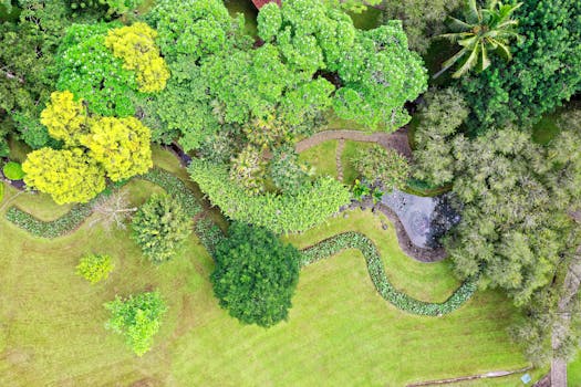 a flourishing garden with various plants