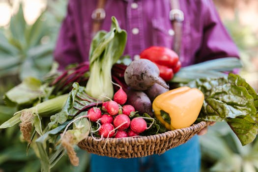 colorful kale and Swiss chard in a garden