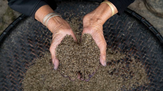 hands holding seeds ready for planting