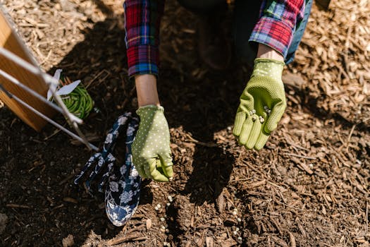 gardener planting seeds