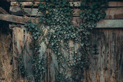 reclaimed wood vertical garden