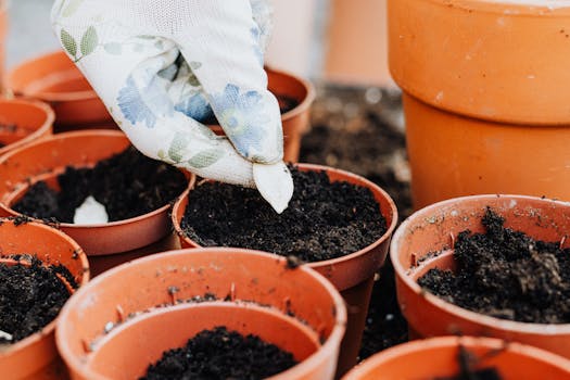 gardener planting cover crops