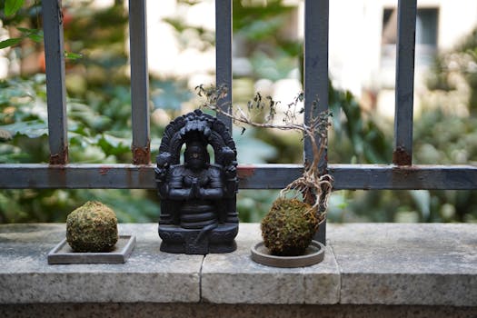 a small urban garden with pots and plants