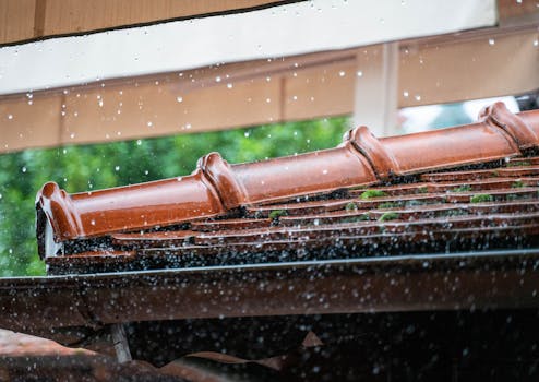 rain barrel collecting water from roof