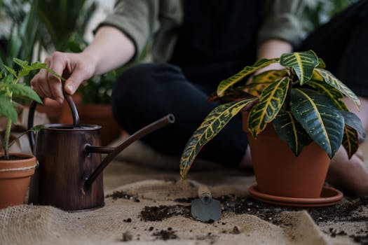 urban herb gardening