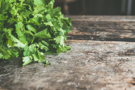 healthy vegetable garden