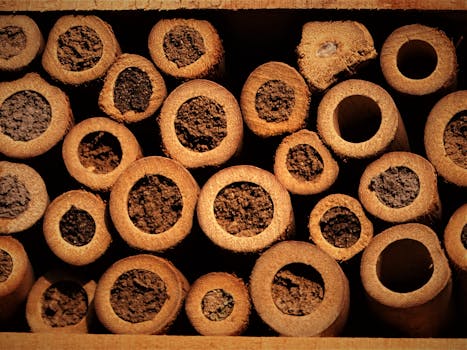 insect hotel in a garden