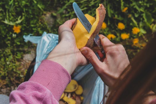 fresh fruit peels ready for gardening