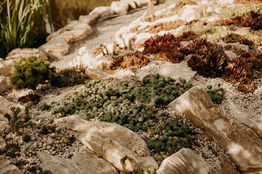 beautiful xeriscape garden