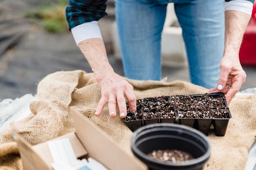 seed packets and gardening tools