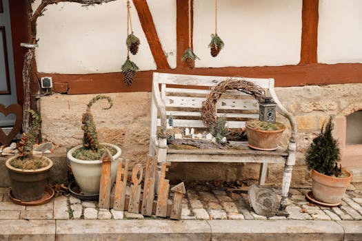 herbs in a garden