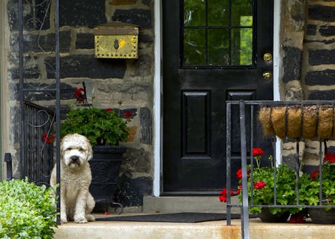 urban garden with companion planting