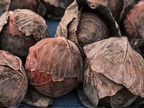 close-up of heirloom vegetable plants