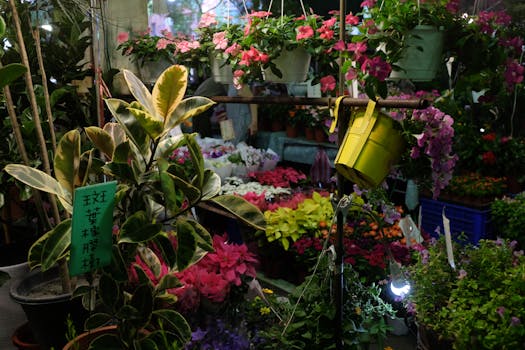 colorful urban garden with various plants