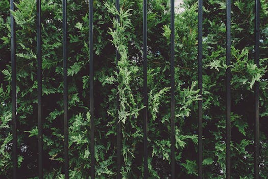 vertical garden with trellises