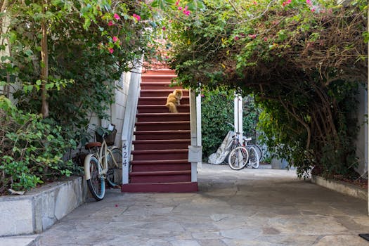 urban garden filled with flowers