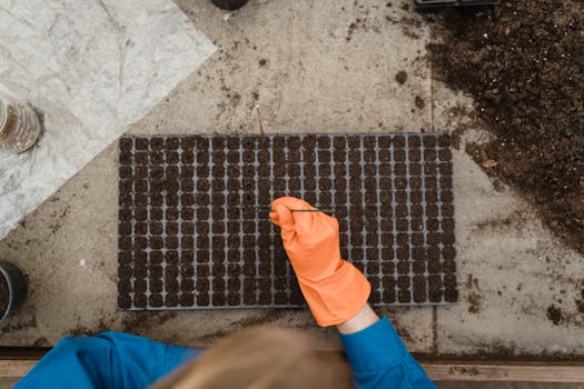 urban gardener planting seeds indoors