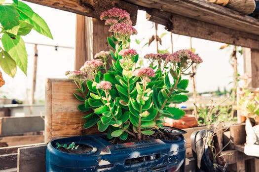 Recycled materials in gardening