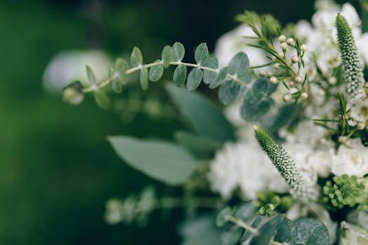 Beautiful flower arrangement