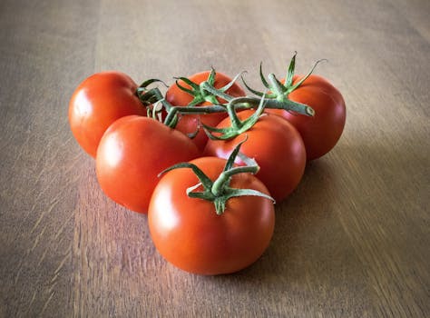 harvested seeds from heirloom tomatoes