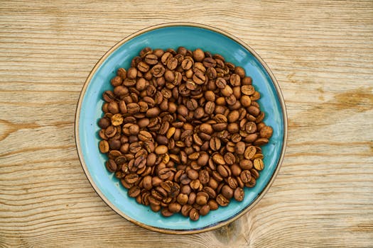 a bowl of used coffee grounds