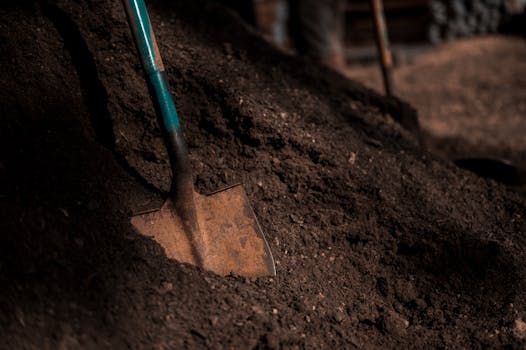 compost pile with coffee grounds