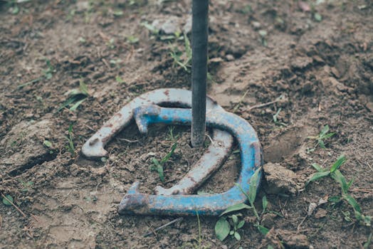 coffee grounds enriching soil