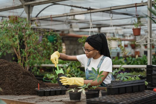 an array of seedlings growing in recycled containers