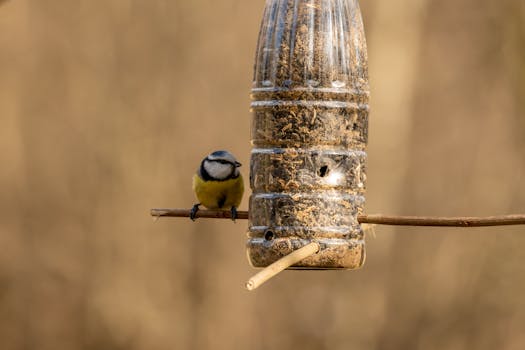 DIY bird feeder made from recycled materials