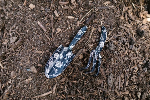 a gardener saving seeds